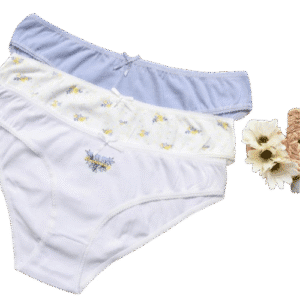 Undergarments2 removebg preview