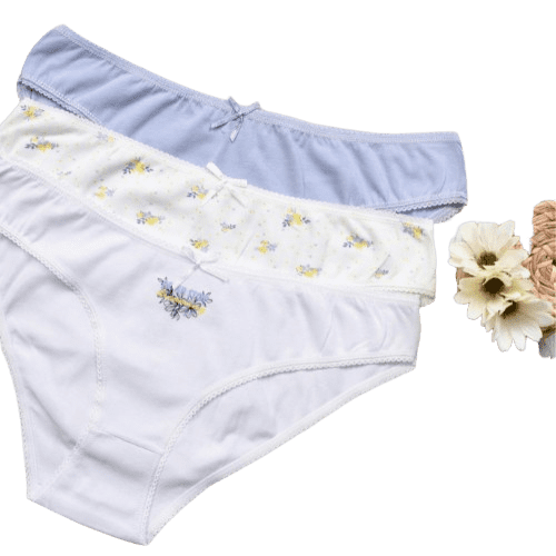 Undergarments2 removebg preview